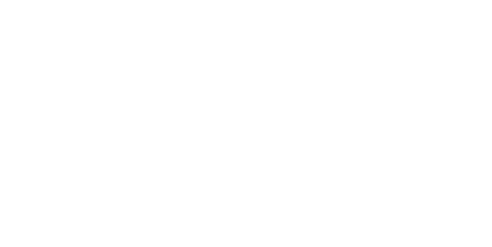 Priscila Rocha